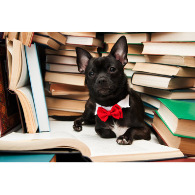 Black Dog Reading Book by Chelmicky - Wrapped Canvas Print