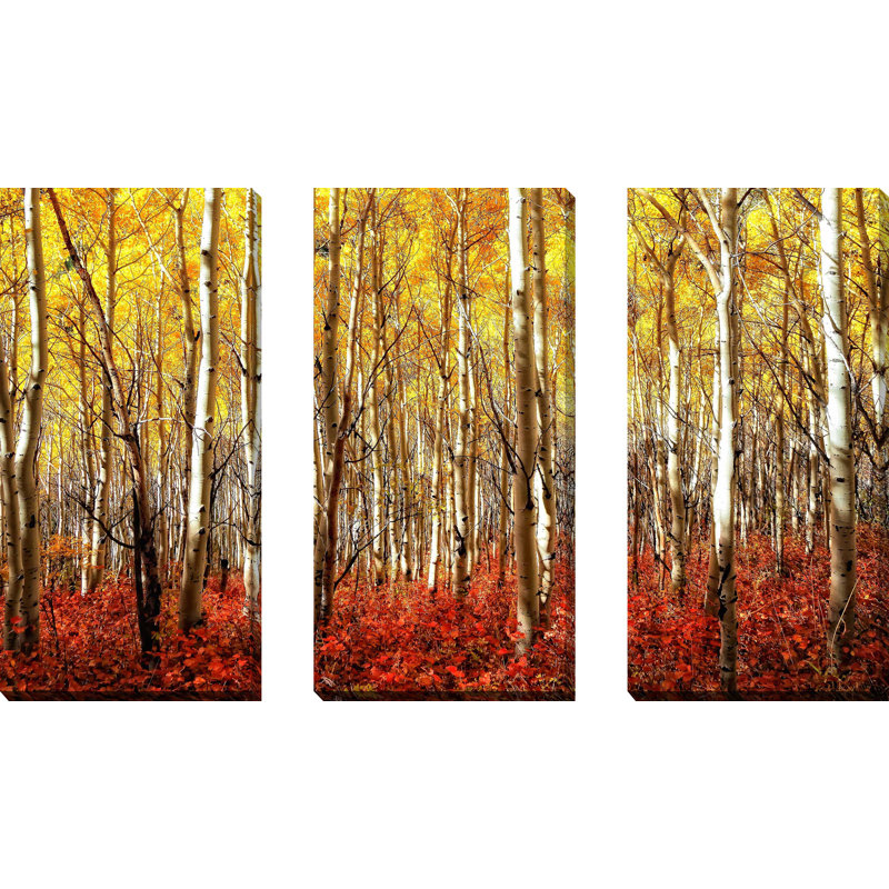 "Birch Trees", ensemble de 3 impressions sur toile
