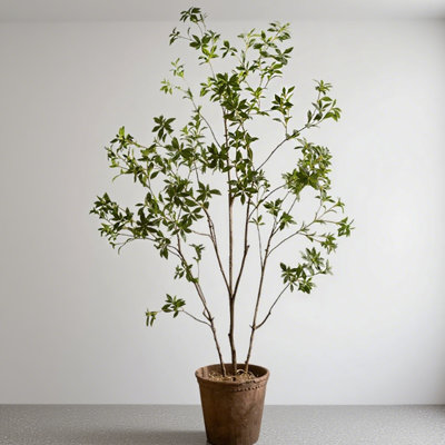 Décoration d'intérieur en bois petite plante verte