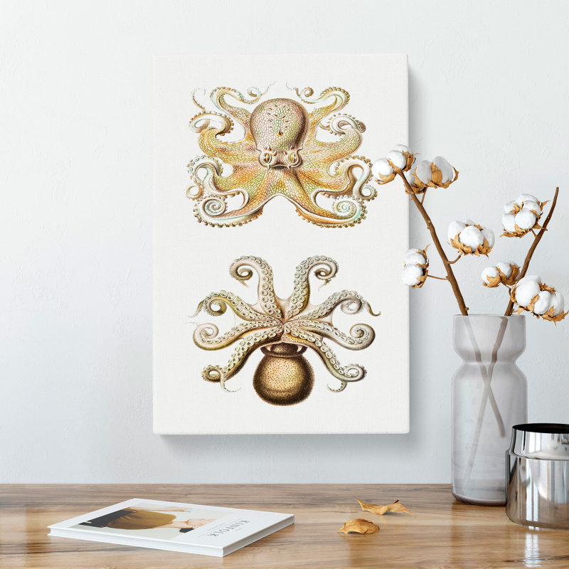 Vintage Octopus by Ernst Haeckel - Wrapped Canvas Painting, 60cm H x 40cm W x 3cm D