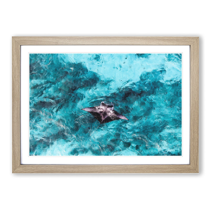 Manta Ray - Picture Frame Painting, Oak Framed, 27cm H x 36cm W x 2cm D