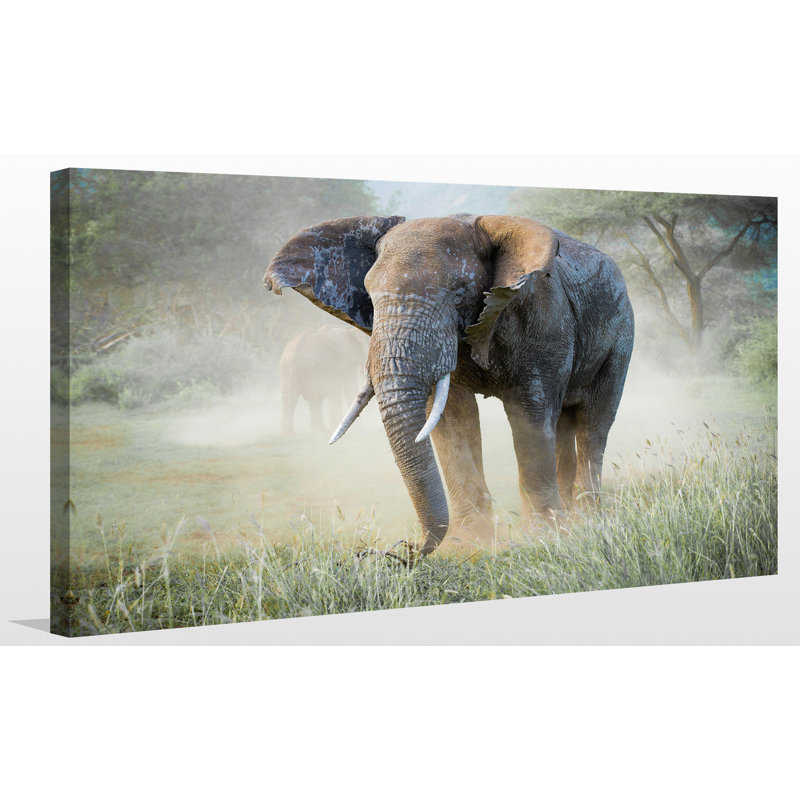 « éléphant », reproduction de photo sur toile tendue, H 36 po x l 60 po x p 1,5 po