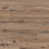 Hidden Hickory
