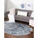 Boylan Oriental Indoor Rug
