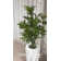 45'' Faux Cannabis Tree in Planter