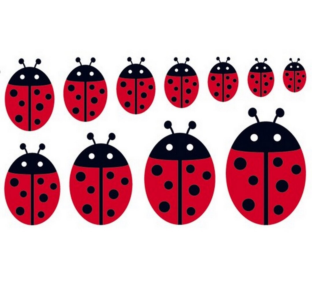 Wandtattoo Familie Ladybird I