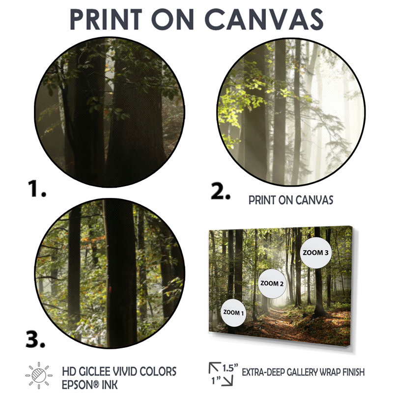 «Green Fall Forest with Sun Rays - Forest», reproduction de photo, H 8 po x l 12 po, Toile tendue, Sans cadre