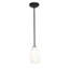 Luminaire suspendu à 1 lumière Carballo-25243114-25243115