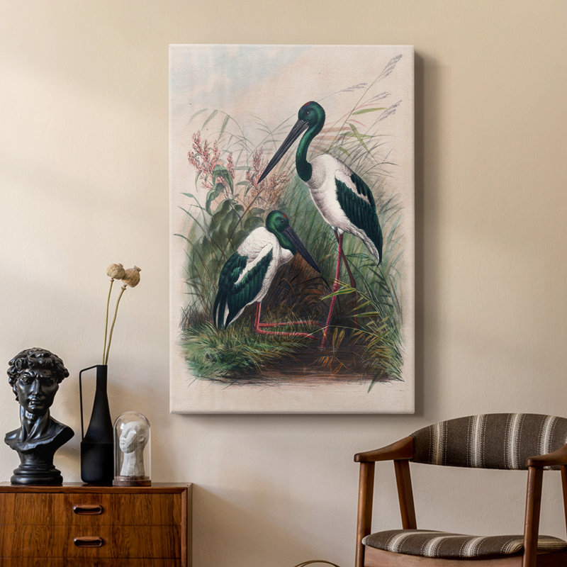 Reproduction animalière rétro XXX III - galerie Cavas sur mesure, H 18 po x l 12 po