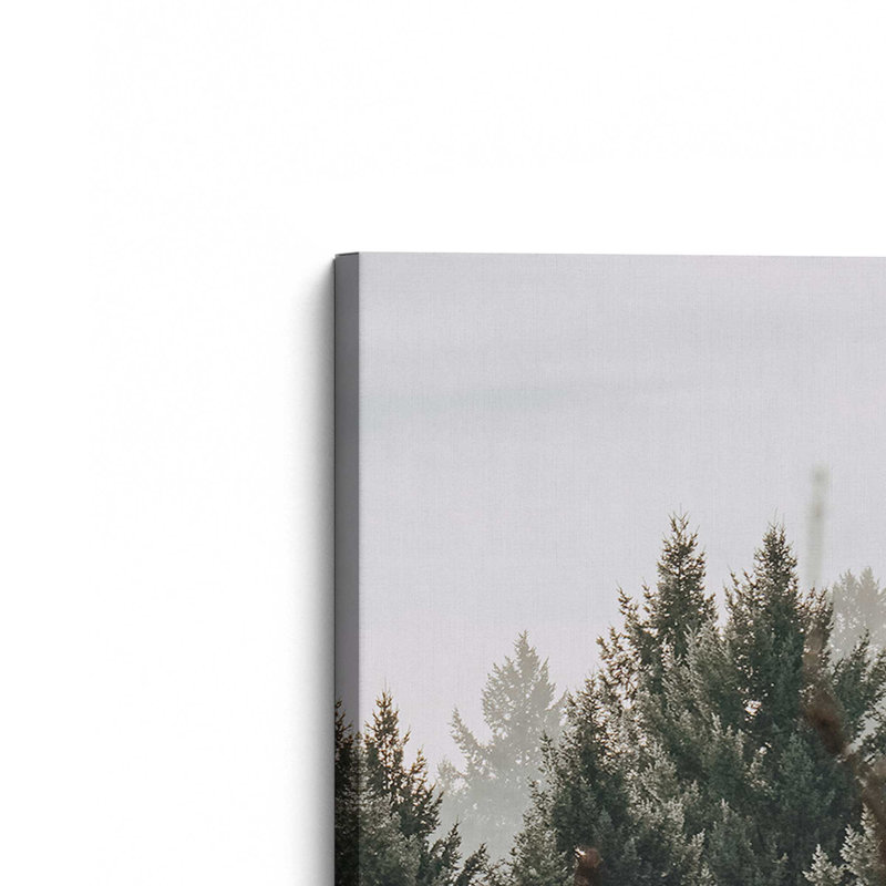 Impression sur toile roulée Hush Evergreen III, Toile tendue, H 30 po x l 20 po x P 1,25 po