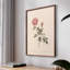 «Vintage Floral Print CXL III» sur papier-1489687910-1489687911