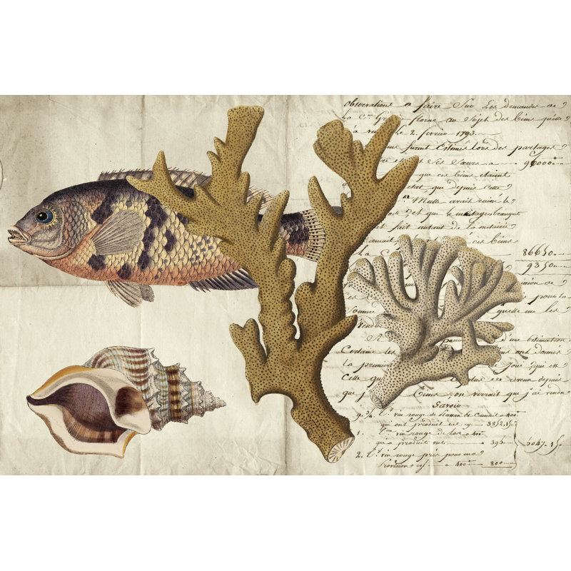 Sealife Journal I - Wrapped Canvas Print, 8" H x 12" W