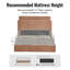 Lit de rangement rembourré hydraulique-295548860-295688844