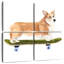 Brampt chiots sur roues I-109097137