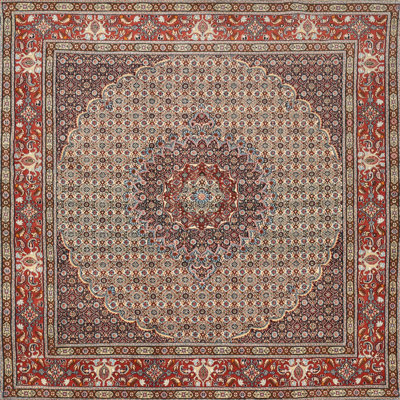 Oriental Indoor Rug