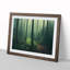 An Enviable Forest - Framed Print-1928165252-1928165275