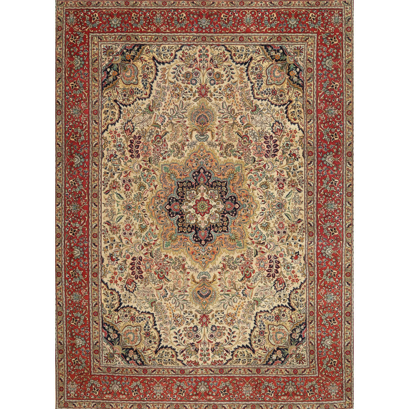 Tapis oriental rouge / beige / noir Acres, Rectangle 8 pi x 10 pi