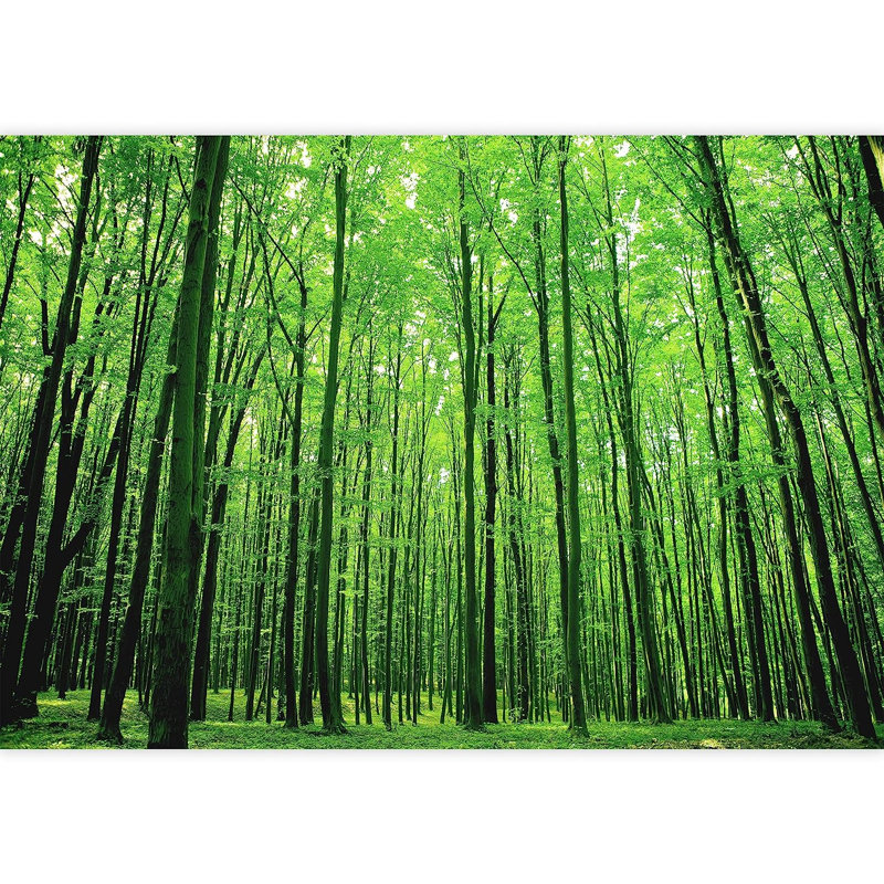 Murale à feuilles vibrantes vert forêt, L 100 po x l 144 po