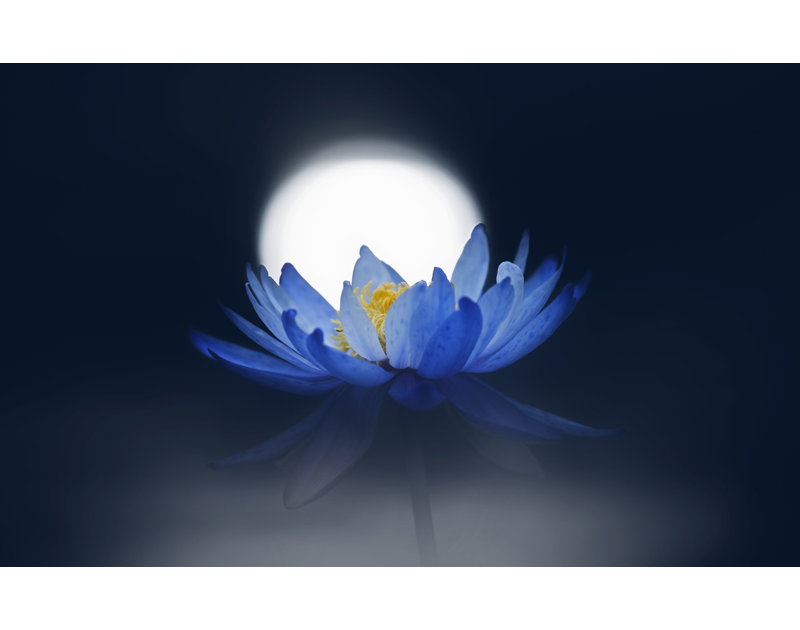 Wrapped Canvas Print, 60.96 cm H x 91.44 cm W
