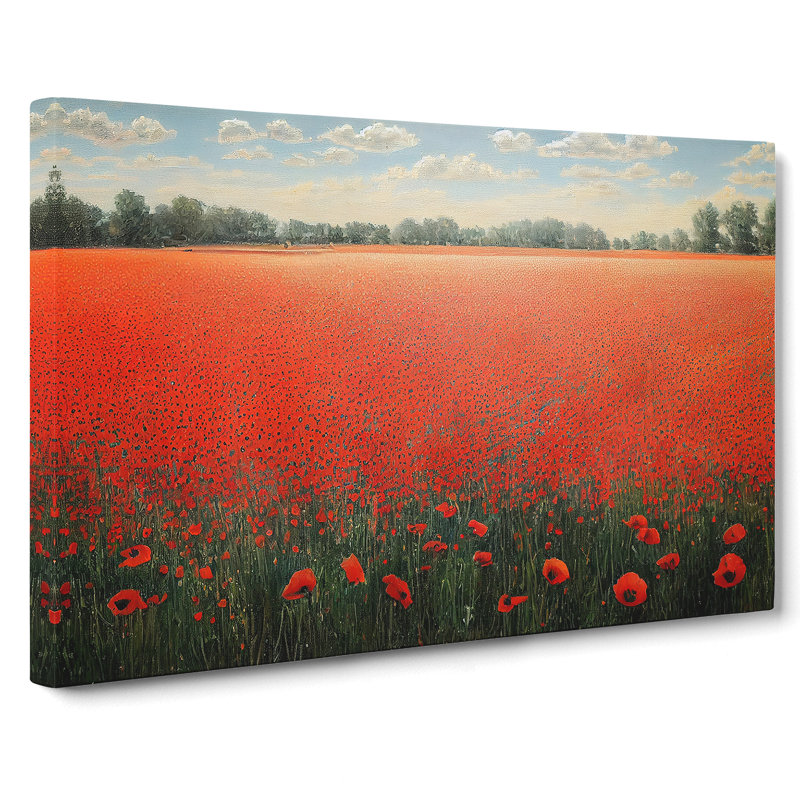 Distinguished Poppy Field Flowers - Wrapped Canvas, 40cm H x 60cm W x 3cm D
