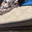 Customer photo 2 of 2