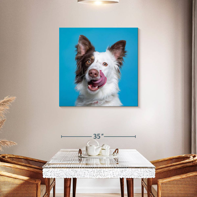Charming Pooch