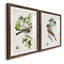 Oiseau antique, botanique et œuf III - ensemble de 2 reproductions d'art sur papier encadré-481924817-481924822