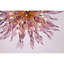 Lustre sphère Spoutnik Apollo Iris Kamiyla-1452750424-1452750435-1412190209