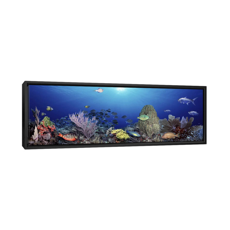 " School Of Fish Swimming In The Sea ", 24" H x 72" W x 1.5" D, Black Framed