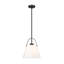 Luminaire suspendu 1 lumière Lupi-165268217-165268219