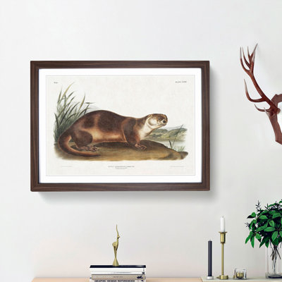 Canadian Otter by J.W. Audubon - Picture Frame Painting Print