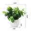 Eucalyptus artificiel 10 po en pot