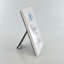 Hand Finishing Ceramic / Porcelain Decorative Object
