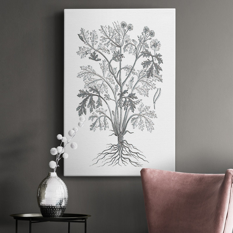 Toile tendue avec châssis de qualité supérieure B&W Plant Spechantillon II - prête à être accrochée