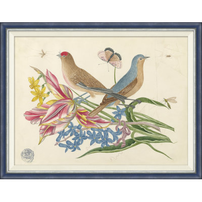 " 18th Century Floral Bouquets With Birds " by Soicher Marin Archives Painting Print