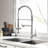 FLG Pull Down Kitchen Faucet-56098134