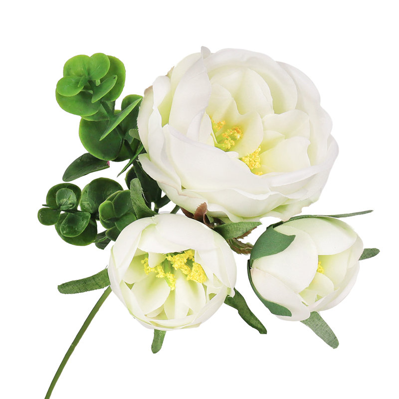 Arrangement de tiges de roses, de buissons et de jets, Blanc crème