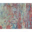 Windsom Abstract Area Rug