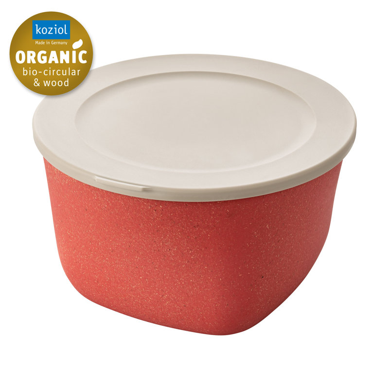 CONNECT 35ml Food Storage Container, Nature Coral
