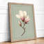 Magnolia in Bloom Botanical - Framed Print-1134726004-1134726010