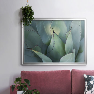 Blue Agave I, reproduction d'art sur toile