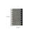 4' X 6' Cream and Black Abstract Distressed Area Rug
