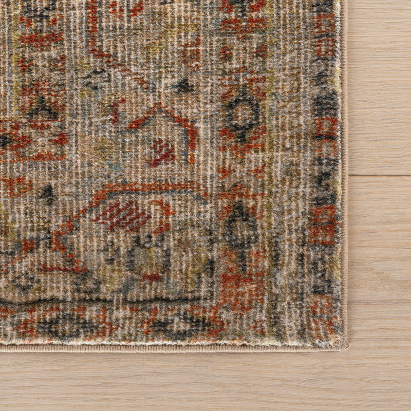 Jessalyn Distresed Washable Area Rug, Rectangle 4' x 6'
