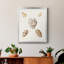 Toile encadrée Pastel Knorr Shells VI - prête à accrocher-141858855-141858852