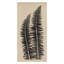 Gray Ferns Print by Briggs, Mary Margaret