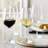 Wine Glass Set