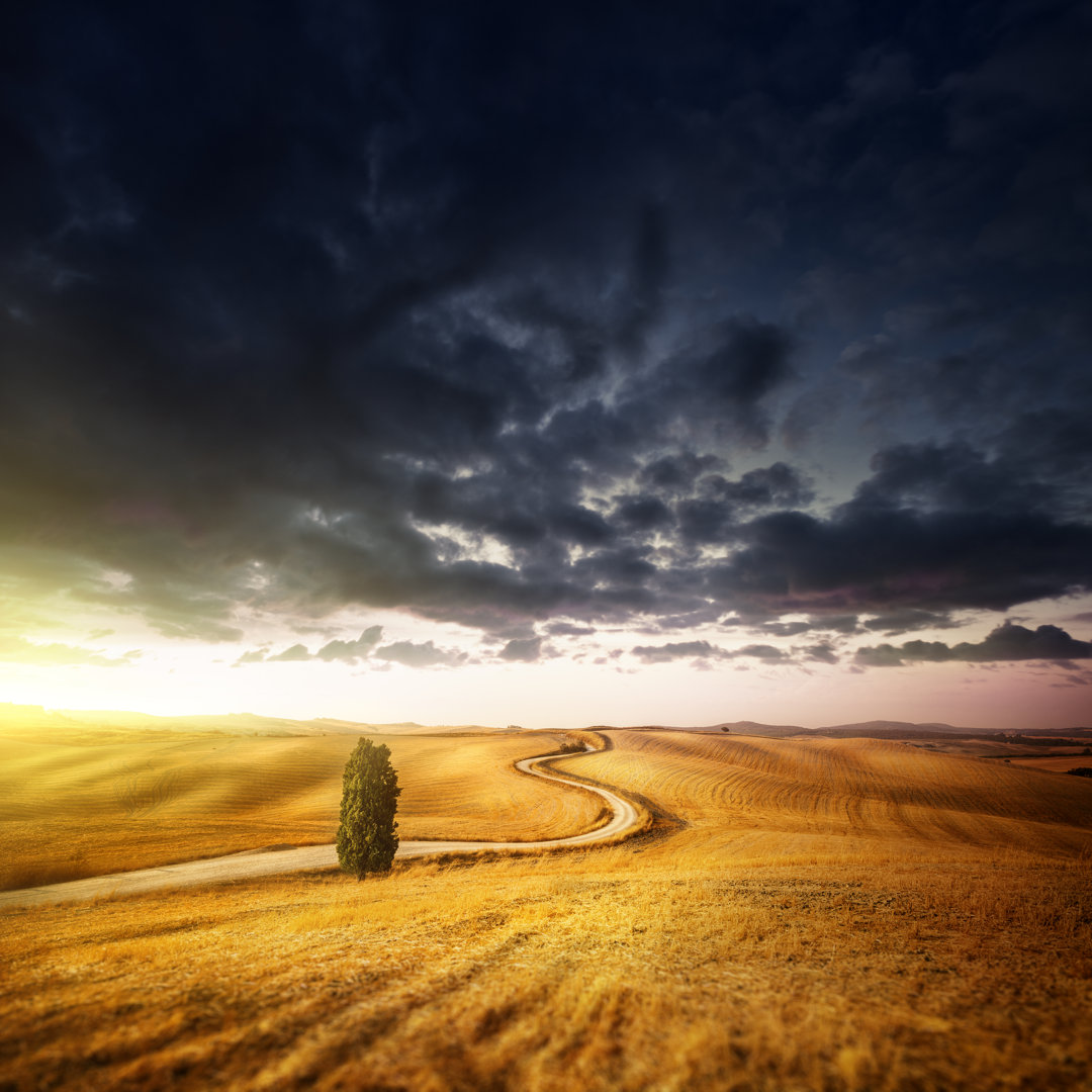 Country Landscape - Fields In The Sunset Sky von Da-kuk - Kunstdrucke auf Leinwand