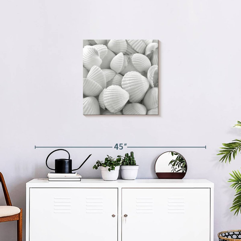Aletra White Shells, 20" H x 20" W