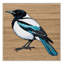  Tapis lavable Eurasian Magpie Birds-83867252
