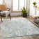 Cabe Floral Indoor Rug